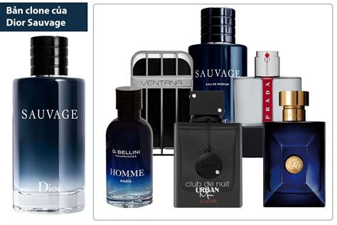 the best dior sauvage clone|aftershave like dior sauvage.